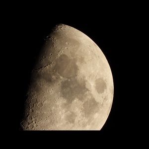 Meet your Posher, Fernando